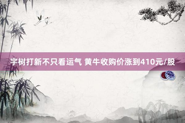 宇树打新不只看运气 黄牛收购价涨到410元/股