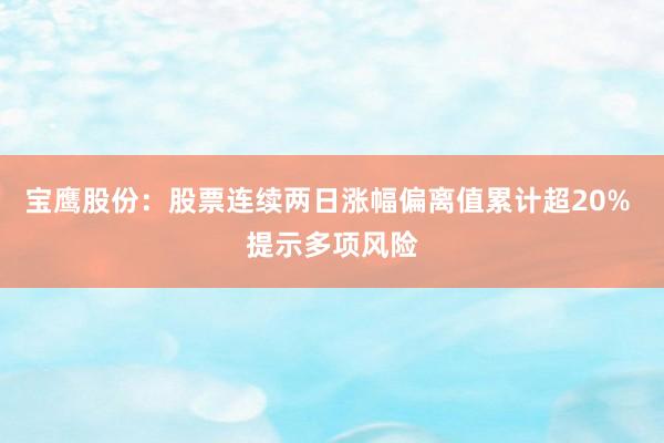 宝鹰股份：股票连续两日涨幅偏离值累计超20% 提示多项风险