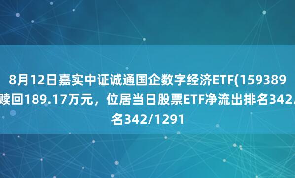 8月12日嘉实中证诚通国企数字经济ETF(159389)遭净赎回189.17万元，位居当日股票ETF净流出排名342/1291