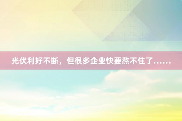 光伏利好不断，但很多企业快要熬不住了……
