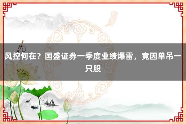 风控何在？国盛证券一季度业绩爆雷，竟因单吊一只股