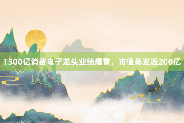 1300亿消费电子龙头业绩爆雷，市值蒸发近200亿