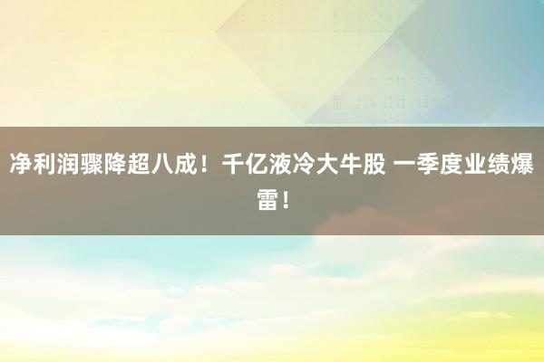 净利润骤降超八成！千亿液冷大牛股 一季度业绩爆雷！