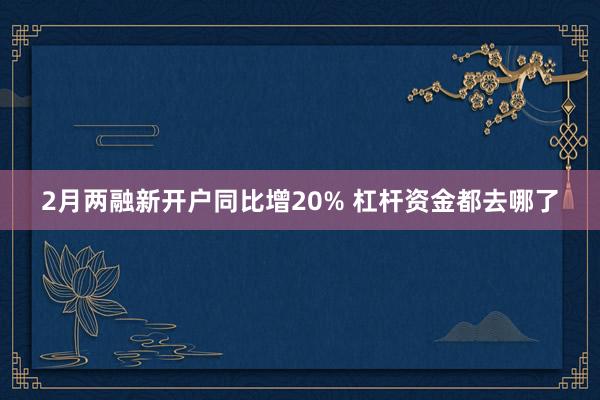 2月两融新开户同比增20% 杠杆资金都去哪了