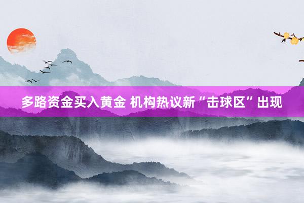 多路资金买入黄金 机构热议新“击球区”出现