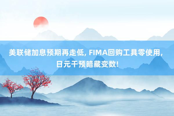 美联储加息预期再走低, FIMA回购工具零使用, 日元干预暗藏变数!