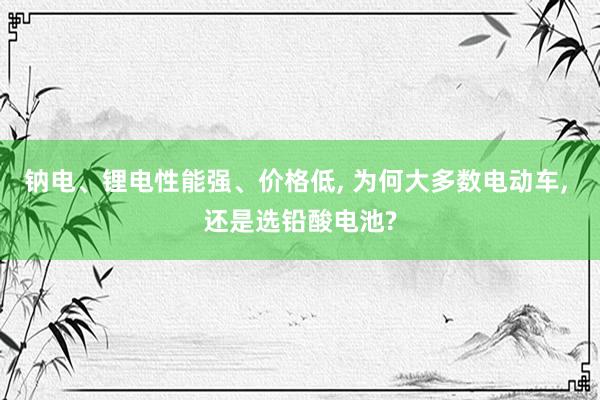 钠电、锂电性能强、价格低, 为何大多数电动车, 还是选铅酸电池?