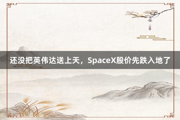 还没把英伟达送上天，SpaceX股价先跌入地了