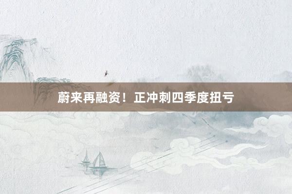 蔚来再融资！正冲刺四季度扭亏