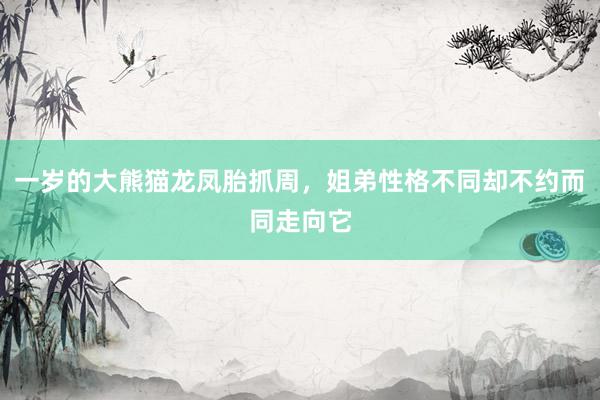 一岁的大熊猫龙凤胎抓周，姐弟性格不同却不约而同走向它