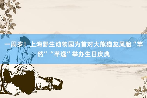 一周岁！上海野生动物园为首对大熊猫龙凤胎“芊然”“芊逸”举办生日庆典