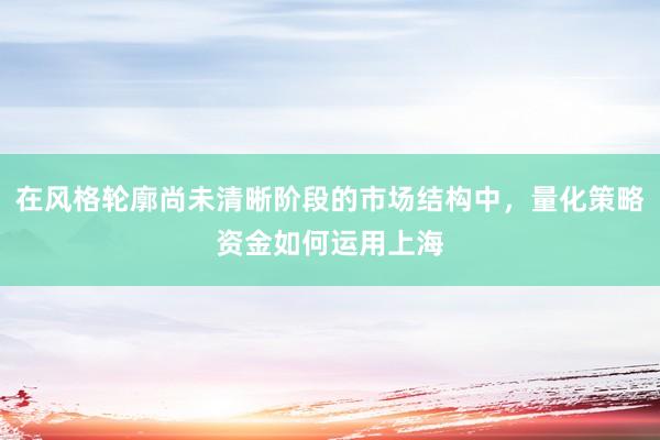 在风格轮廓尚未清晰阶段的市场结构中，量化策略资金如何运用上海