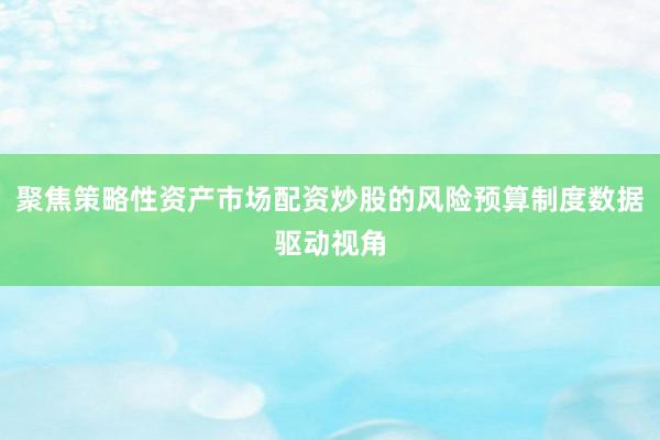 聚焦策略性资产市场配资炒股的风险预算制度数据驱动视角