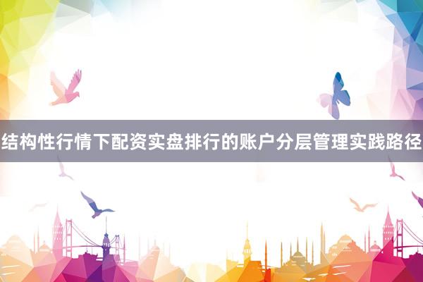 结构性行情下配资实盘排行的账户分层管理实践路径