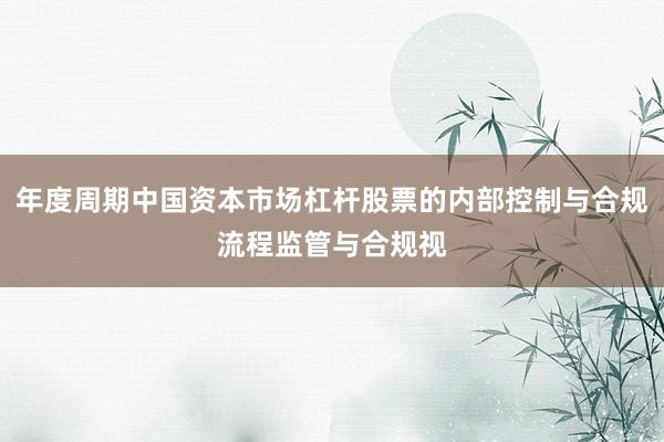 年度周期中国资本市场杠杆股票的内部控制与合规流程监管与合规视