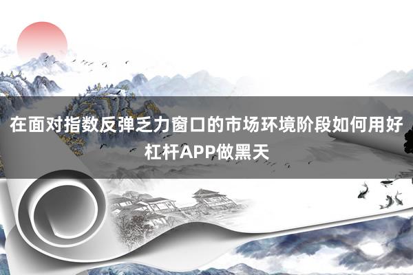 在面对指数反弹乏力窗口的市场环境阶段如何用好杠杆APP做黑天