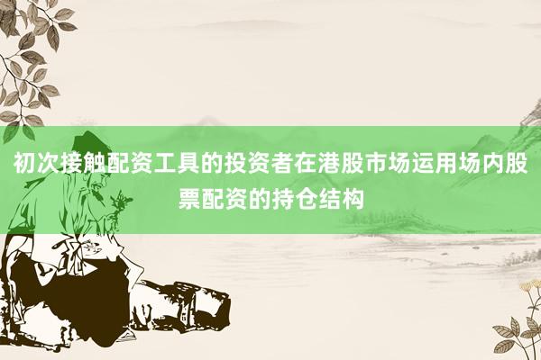 初次接触配资工具的投资者在港股市场运用场内股票配资的持仓结构