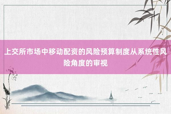 上交所市场中移动配资的风险预算制度从系统性风险角度的审视