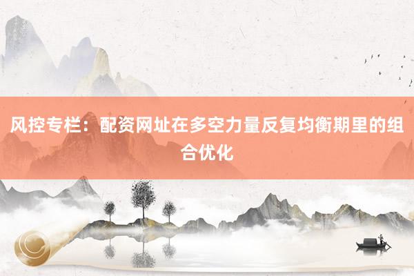 风控专栏：配资网址在多空力量反复均衡期里的组合优化