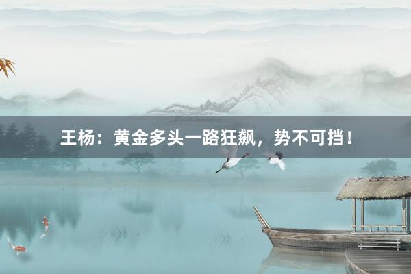王杨：黄金多头一路狂飙，势不可挡！