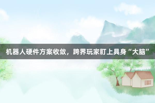 机器人硬件方案收敛，跨界玩家盯上具身“大脑”