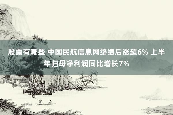 股票有哪些 中国民航信息网络绩后涨超6% 上半年归母净利润同比增长7%