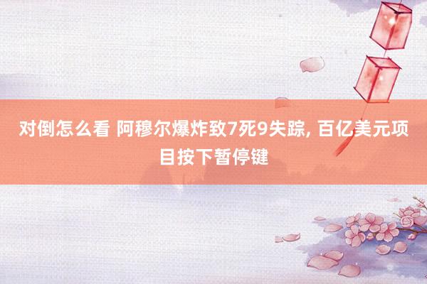 对倒怎么看 阿穆尔爆炸致7死9失踪, 百亿美元项目按下暂停键