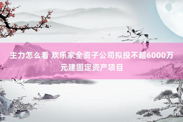 主力怎么看 欢乐家全资子公司拟投不超6000万元建固定资产项目