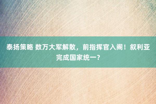 泰扬策略 数万大军解散，前指挥官入阁！叙利亚完成国家统一？