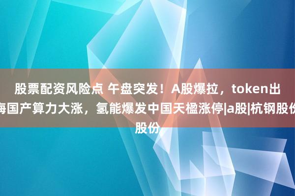 股票配资风险点 午盘突发！A股爆拉，token出海国产算力大涨，氢能爆发中国天楹涨停|a股|杭钢股份