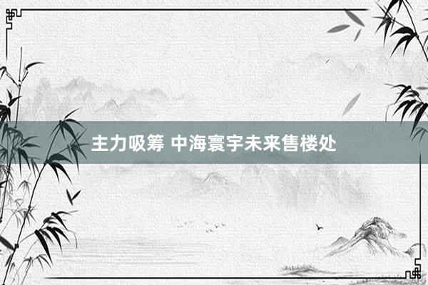 主力吸筹 中海寰宇未来售楼处