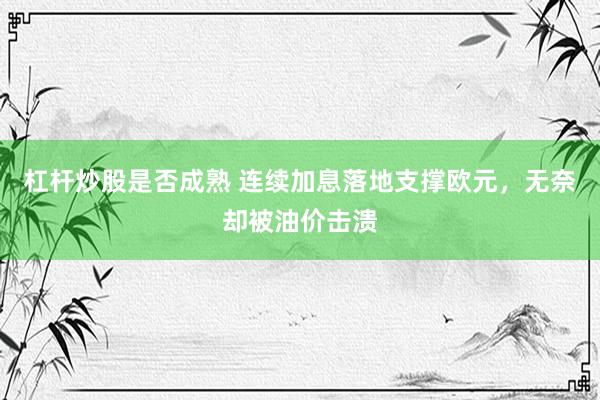杠杆炒股是否成熟 连续加息落地支撑欧元，无奈却被油价击溃