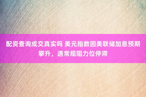 配资查询成交真实吗 美元指数因美联储加息预期攀升，遇常规阻力位停滞