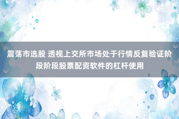 震荡市选股 透视上交所市场处于行情反复验证阶段阶段股票配资软件的杠杆使用