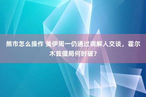 熊市怎么操作 美伊周一仍通过调解人交谈，霍尔木兹僵局何时破？