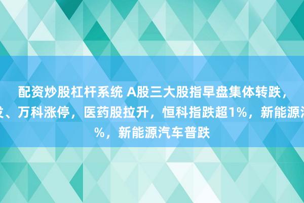 配资炒股杠杆系统 A股三大股指早盘集体转跌，地产爆发、万科涨停，医药股拉升，恒科指跌超1%，新能源汽车普跌